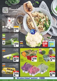Pflanzen im EDEKA Prospekt "Wir lieben Lebensmittel!" mit 28 Seiten (Leipzig)