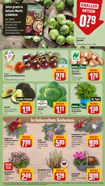 Blumen im REWE Prospekt in Krefeld Aktueller REWE Prospekt mit Blumen, "Dein Markt", Seite 13