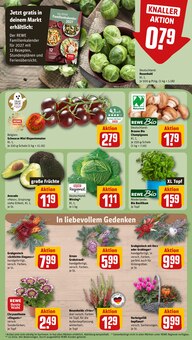 Tomaten im aktuellen REWE Prospekt (Krefeld) Tomaten im REWE Prospekt "Dein Markt" mit 30 Seiten (Krefeld)