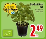 Bio-Basilikum XXL im EDEKA Prospekt Bio-Basilikum XXL von im aktuellen EDEKA Prospekt für 2,49 €