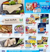 Aktueller Marktkauf Prospekt mit Fisch, "Aktuelle Angebote", Seite 14