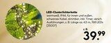 LED-Clusterlichterkette Angebot in Uffing LED-Clusterlichterkette im aktuellen Prospekt bei BayWa Bau- und Gartenmärkte in Uffing