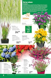 Aktueller BayWa Bau- und Gartenmärkte Prospekt mit Stauden, "Hier bin ich gern", Seite 2