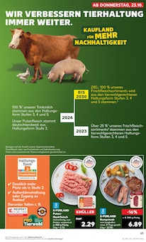 Pute im aktuellen Kaufland Prospekt (Mönchengladbach) Pute im Kaufland Prospekt "Aktuelle Angebote" mit 61 Seiten (Mönchengladbach)