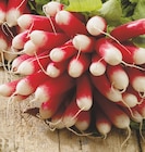 Promo Radis rose botte à 1,38 € dans le catalogue Intermarché à Vieillevigne