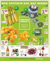 Saft Angebot & Preis im aktuellen Marktkauf Prospekt Saft Angebot im aktuellen Marktkauf Prospekt auf Seite 6