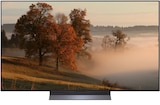 Aktuelles OLED TV OLED55C69LB Angebot bei expert TeVi in Passau ab 1.199,00 €