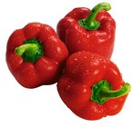 Rote Bio Paprika Angebote von REWE Bio bei REWE Aschaffenburg für 1,99 €