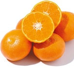 Mandora bei Netto mit dem Scottie im Prospekt  für 1,29 €