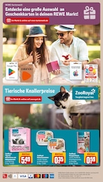 REWE Katzenstreu im Prospekt REWE Katzenstreu im Prospekt