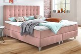 Boxspringbett im aktuellen Polstermöbel Fischer Prospekt für 1.490,00 €