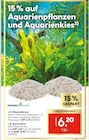 Wasserpflanzen von Dennerle Plants für 3,39 € bei Hellweg im Angebot Wasserpflanzen von Dennerle Plants im aktuellen Hellweg Prospekt
