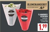 Flammendes Käthchen im Angebot bei Marktkauf in Rheine Flammendes Käthchen Angebote bei Marktkauf Rheine für 1,99 €