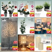 LED-Lampe im Zimmermann Prospekt in Bremerhaven Aktueller Zimmermann Prospekt mit LED-Lampe, "Aktuelle Angebote", Seite 16