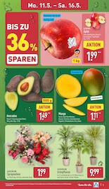 Aktueller ALDI Nord Prospekt mit Zimmerpflanzen, "Aktuelle Angebote", Seite 7