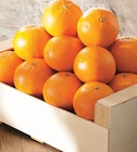Promo Mandarine Bio à 1,89 € dans le catalogue Intermarché Hyper à Bernay