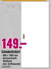Schiebetürblatt von  im aktuellen Hornbach Prospekt für 149,00 €