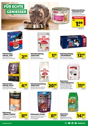 Felix Katzenfutter im Hagebaumarkt Prospekt in Chemnitz Aktueller Hagebaumarkt Prospekt mit Felix Katzenfutter, "So günstig geht das!", Seite 13