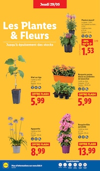 Prospectus Lidl en cours, "Coup d'envoi sur les promos !", 90 pages