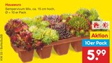 Netto Marken-Discount Bottrop Prospekt mit  im Angebot für 5,99 €