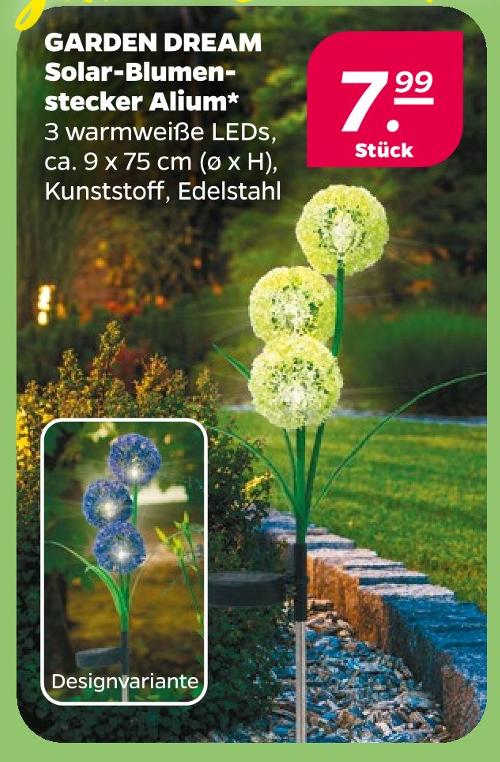 Solar-Blumenstecker Alium