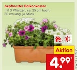 bepflanzter Balkonkasten Angebote bei Netto Marken-Discount Herne für 4,99 €