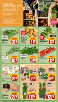 Gemüse im REWE Prospekt "Dein Markt" mit 28 Seiten (Salzgitter)
