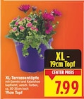 XL-Terrassentöpfe im aktuellen E center Prospekt
