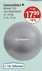 Gymnastikball von Schildkröt im aktuellen V-Markt Prospekt für 17,99 €