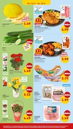 Penny Blumen im Prospekt Penny Blumen im Prospekt