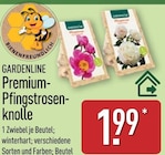 Premium-Pfingstrosenknolle von Gardenline für 1,99 € bei ALDI Nord im Angebot Premium-Pfingstrosenknolle von Gardenline im aktuellen ALDI Nord Prospekt