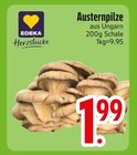 Austernpilze im EDEKA Prospekt Austernpilze von EDEKA im aktuellen EDEKA Prospekt für 1,99 €