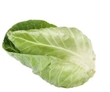 Spitzkohl im Angebot bei EDEKA in Lünen Spitzkohl Angebote bei EDEKA Lünen für 1,11 €