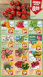 Blumen im REWE Prospekt in Memmingen Aktueller REWE Prospekt mit Blumen, "Dein Markt", Seite 7