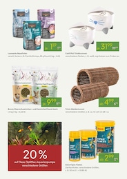 Tiere im Pflanzen Kölle Prospekt "VALENTINSTAG" auf Seite 13