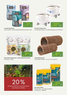 Katzenfutter im Pflanzen Kölle Prospekt "VALENTINSTAG" mit 14 Seiten (München)