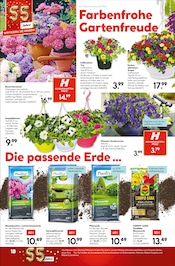 Aktueller Hellweg Prospekt mit Hortensie, "Bunte Blumenvielfalt", Seite 18