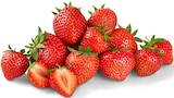 Penny Dillingen - Bio-Erdbeeren Angebot im Prospekt Bio-Erdbeeren bei Penny im Dillingen Prospekt für 1,00 €