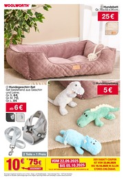Hundebett Angebot im aktuellen Woolworth Prospekt auf Seite 74