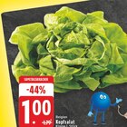 EDEKA Werkhausen Prospekt mit  im Angebot für 1,00 €