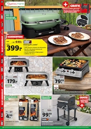 Hagebaumarkt Elektrogrill im Prospekt 