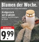 Aktuelle Grabgesteck Angebote bei EDEKA in Dortmund Aktuelles Grabgesteck mit Grablicht Angebot bei EDEKA in Dortmund ab 9,99 €