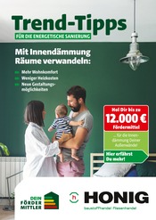 Ähnliche Blumenzwiebeln Angebote im Prospekt "Trend-Tipps für die energetische Sanierung" von Honig Baustoffe in Hameln Ähnliche Angebote wie Blumenzwiebeln im Prospekt "Trend-Tipps für die energetische Sanierung" auf Seite 1 von Honig Baustoffe in Hameln
