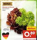 Mixsalat mit Wurzel bei Netto Marken-Discount im Deilingen Prospekt für 0,89 €