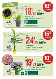 Offre Hortensia dans le catalogue Botanic du moment à la page 2