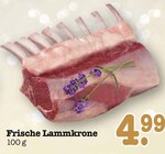 Frische Lammkrone bei EDEKA im Wörth Prospekt für 4,99 €