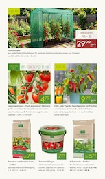 Pflanzen Kölle Gartenhaus im Prospekt 