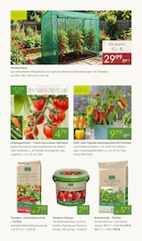Aktueller Pflanzen Kölle Prospekt mit Gemüse, "FRÜHLINGS-FREUDE", Seite 7