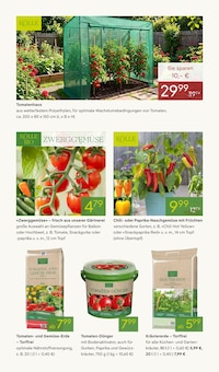 Tomaten im Pflanzen Kölle Prospekt "FRÜHLINGS-FREUDE" mit 16 Seiten (Nürnberg)