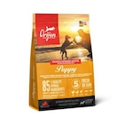 Croquette pour chiot Orijen - 2 kg - ORIJEN dans le catalogue Botanic